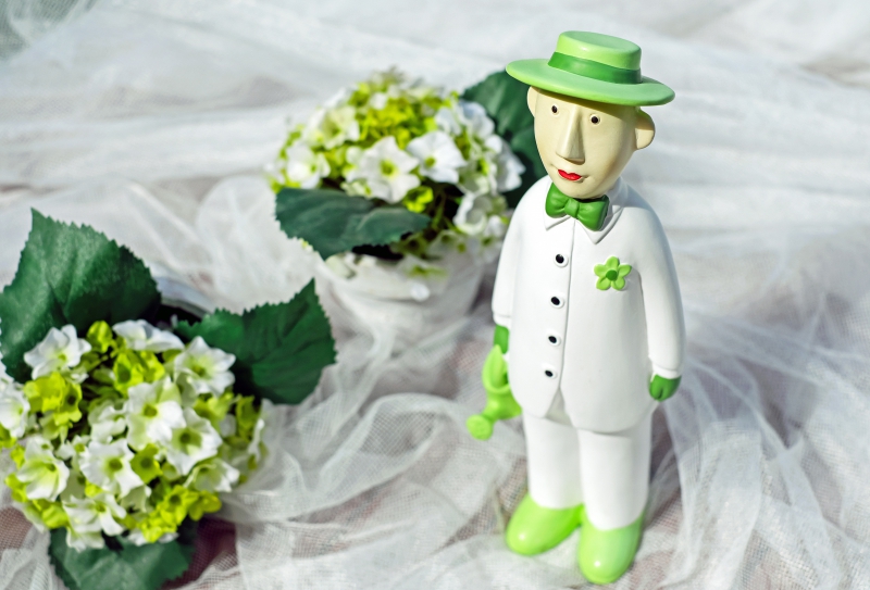 vente-COMPS SUR ARTUBY-min_man-person-flower-green-toy-fig-546529-pxhere.com